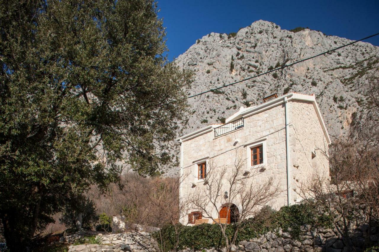 Vila House Pasalich Tučepi Exteriér fotografie